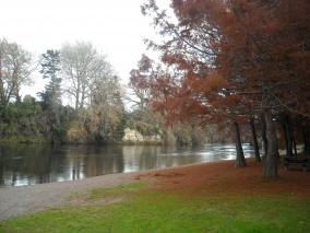 Waikato River in Autumn